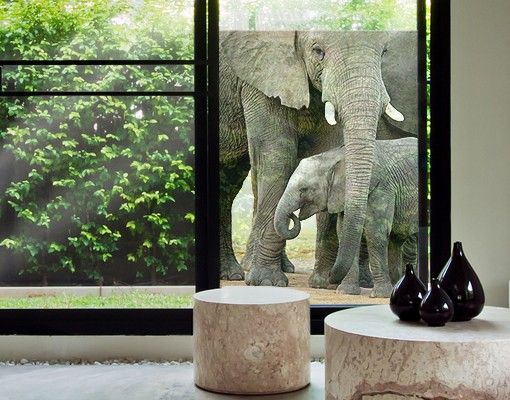 Adesivi per vetri con animali Elefante e amore
