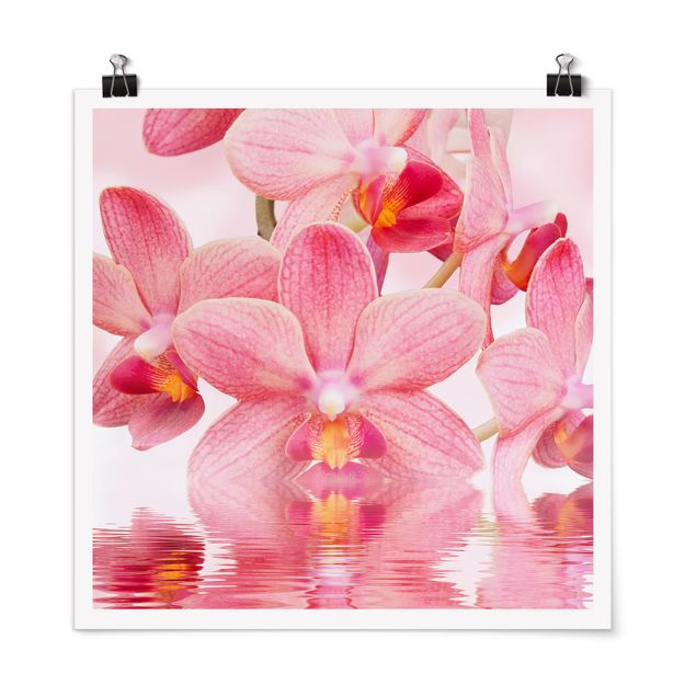 Quadri fiori Orchidea rosa chiaro sull'acqua