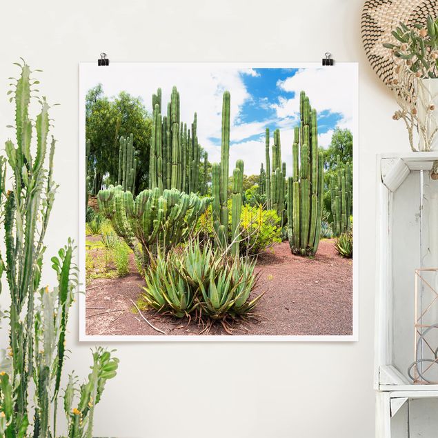 Quadro moderno Paesaggio di cactus