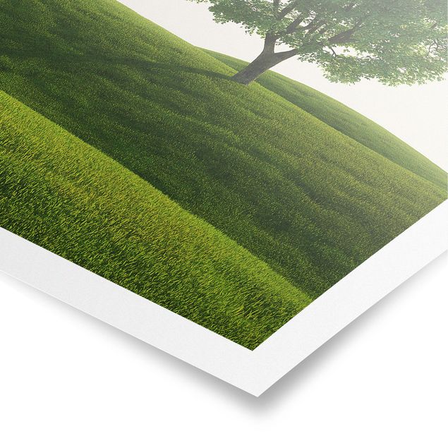 Poster natura paesaggi Tranquillità verde