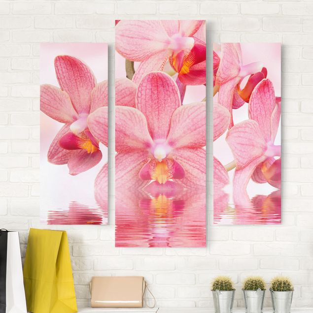 Quadri con orchidee Orchidea rosa chiaro sull'acqua