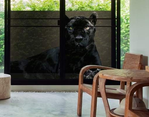 Adesivi per finestre con animali Puma nero