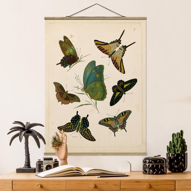 Quadri farfalle Illustrazione vintage Farfalle esotiche