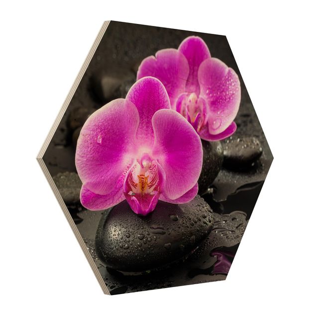 Riproduzione quadri famosi Fiore di orchidea rosa su pietra con gocce