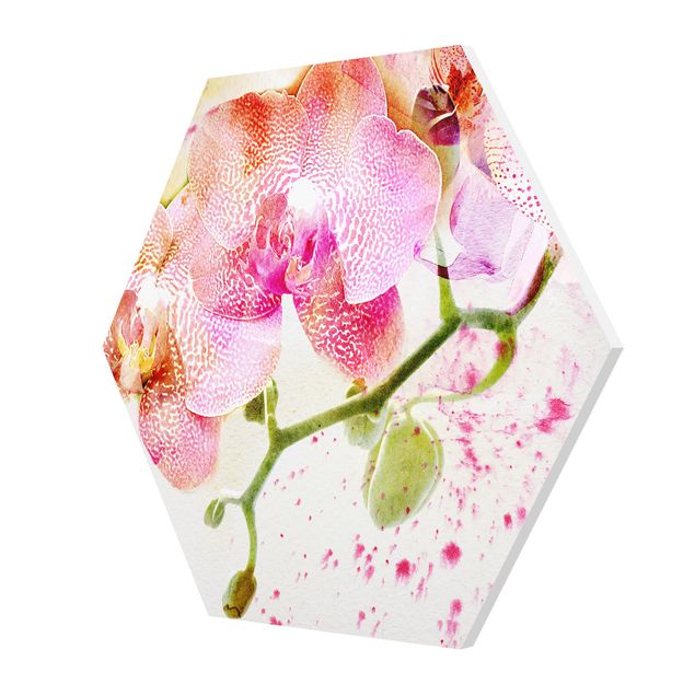 Stampe forex Fiori ad acquerello Orchidee