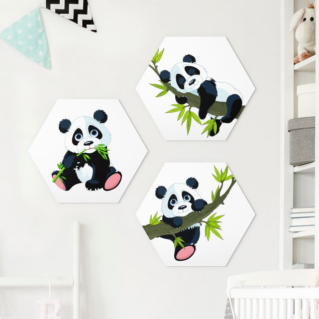 Esagono in forex - Panda Bear Set