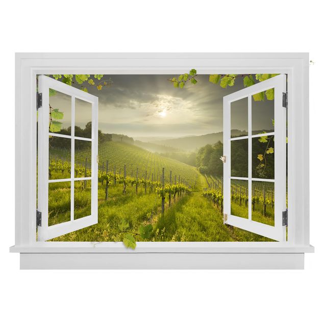 Autocolantes de parede gavinha Finestra aperta raggi di sole vigneto con viti e uva