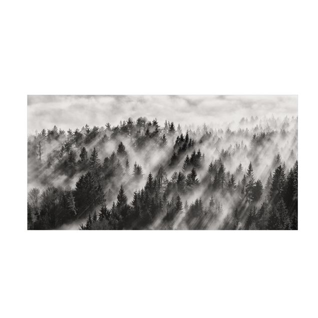 tappeto nero e bianco Raggi di luce nella foresta di conifere