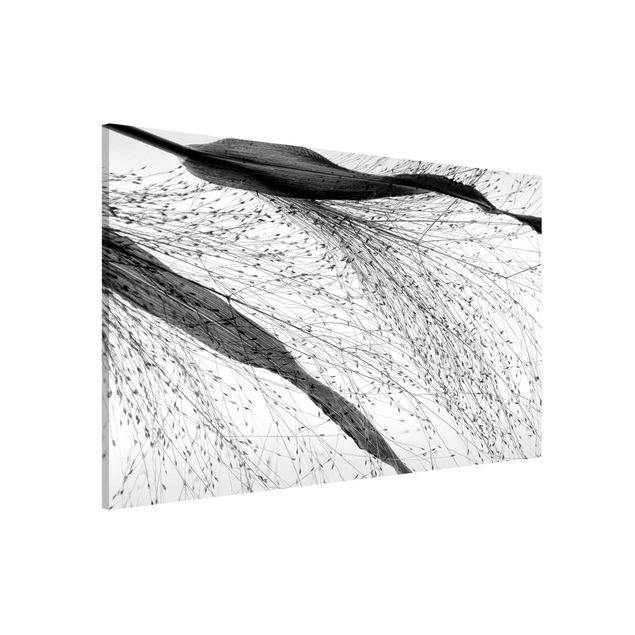 Lavagne magnetiche con fiori Canna delicata con boccioli sottili in bianco e nero