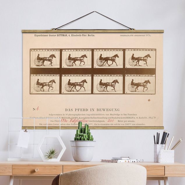 Riproduzioni Eadweard Muybridge - Il cavallo in movimento