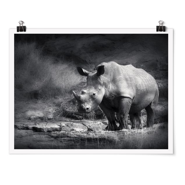 Quadro animali Rinoceronte solitario