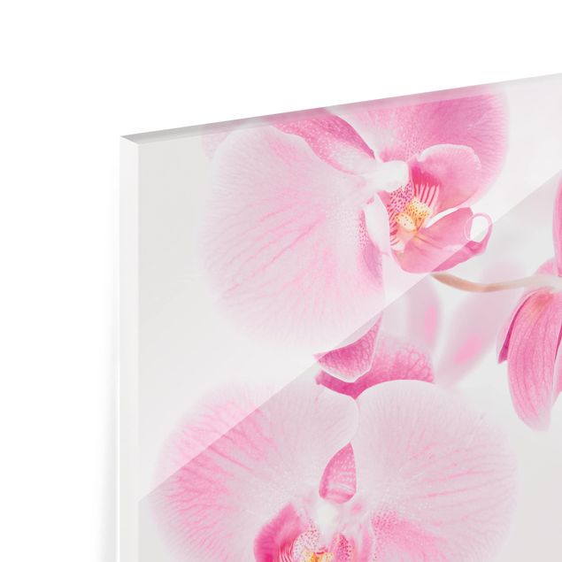 Paraschizzi in vetro - Delicate Orchids