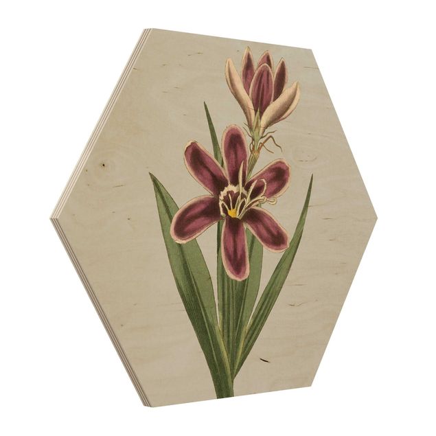 Stampe su legno Gioielli floreali II