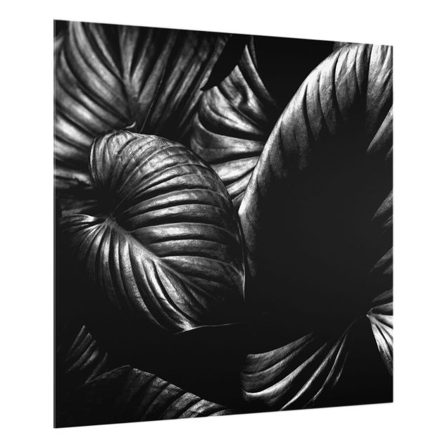 Quadri Kubistika Hosta botanica in bianco e nero