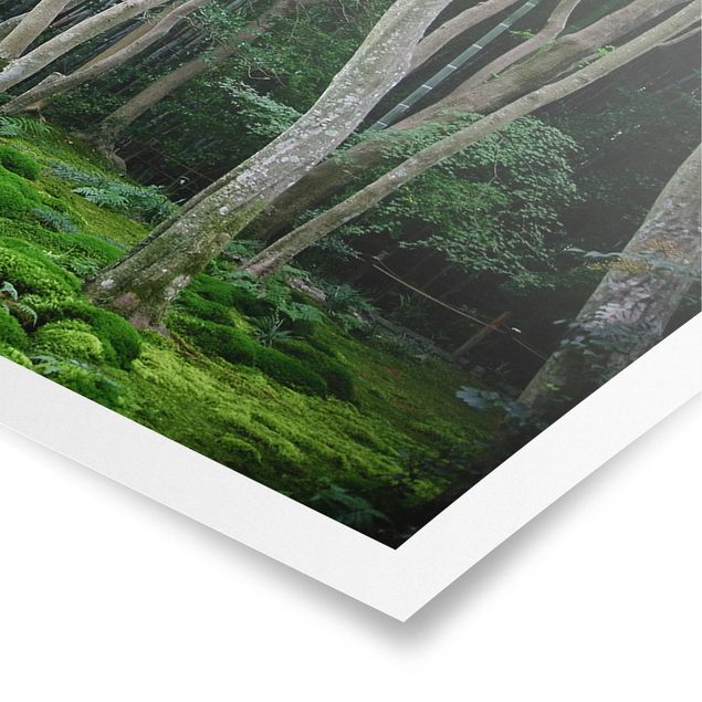 Poster paesaggi naturali Foresta giapponese