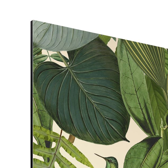 Quadri verdi Collage vintage - Pappagalli nella giungla