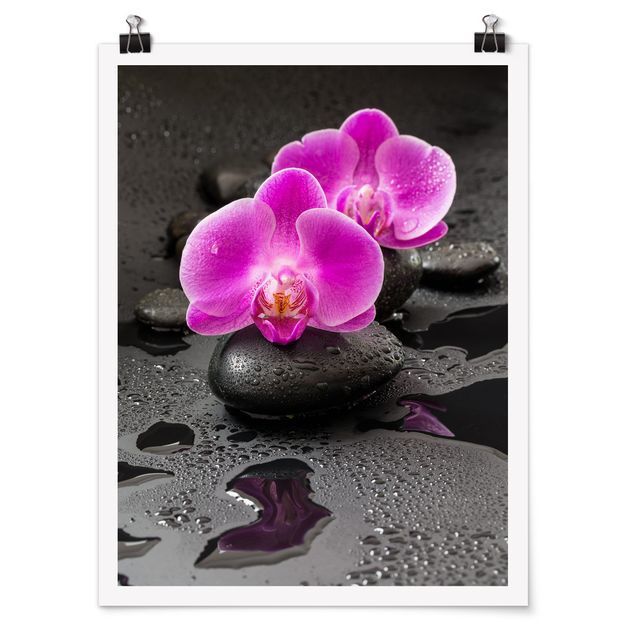 Riproduzioni quadri Fiore di orchidea rosa su pietra con gocce