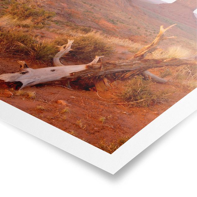 Poster paesaggi naturali Monument Valley al tramonto