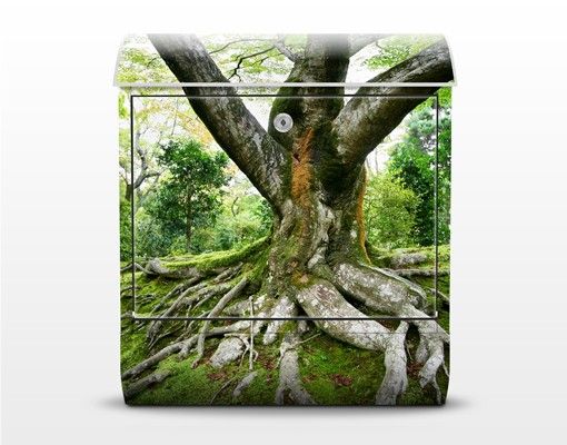 Cassetta postale verde Vecchio albero
