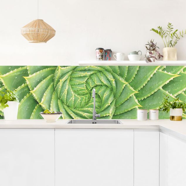 Rivestimenti per cucina con disegni Aloe a spirale