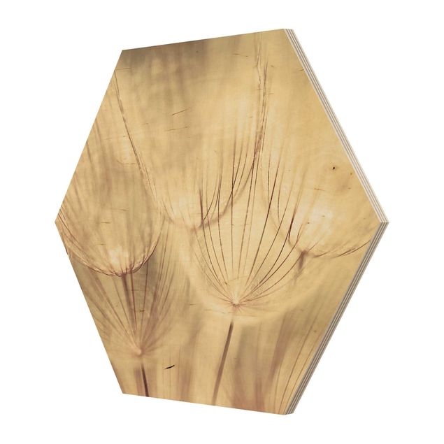 Esagono in legno - Dandelions close-up in tonalità seppia casalinga