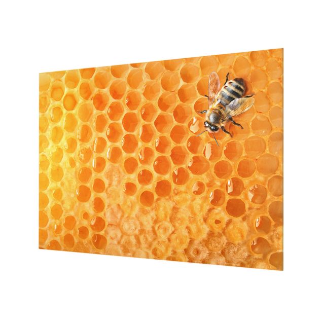 Paraschizzi in vetro - Honey Bee