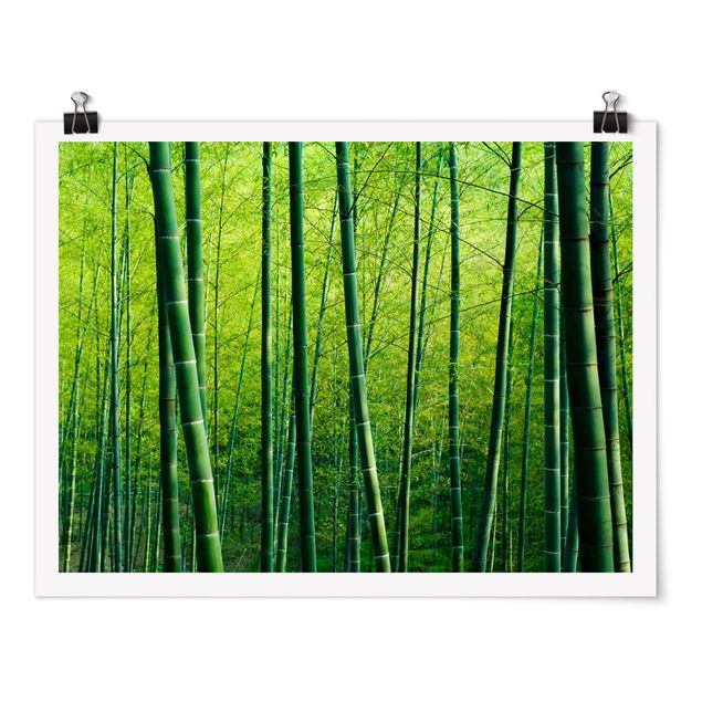 Quadro moderno Foresta di bambù