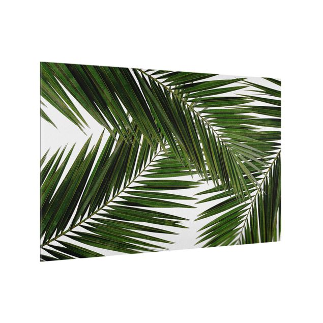 Paraschizzi con paesaggio Vista attraverso le foglie di palma verde