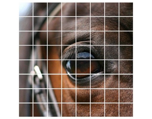 Pellicole per piastrelle marroni Occhio di cavallo