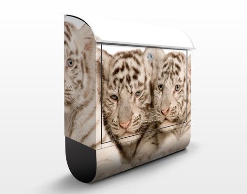 Cassette postali animali Bambini tigre del Bengala
