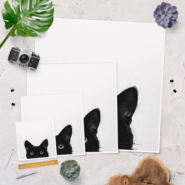 Quadri stampe Illustrazione - Gatto nero su pittura bianca