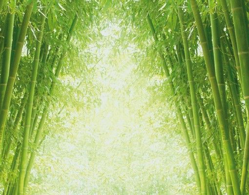 Cassetta postale Via dei bambù