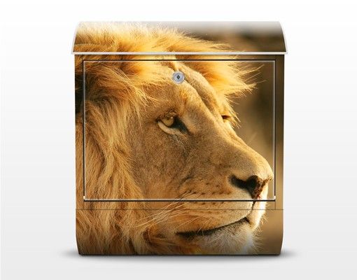 Cassette della posta marroni King Of Lions