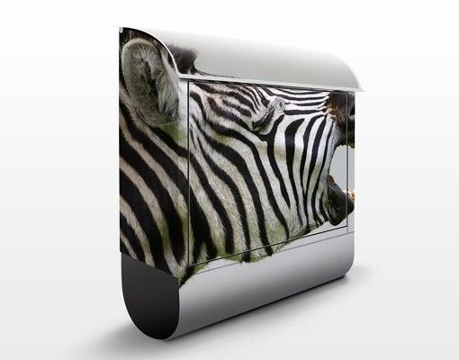 Cassette della posta con animali Zebra ruggente