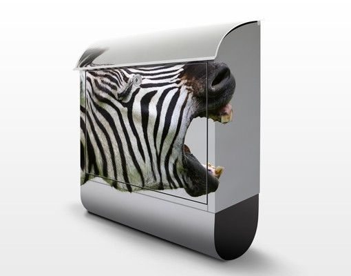 Cassette postali Zebra ruggente