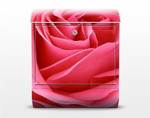 Cassette della posta rosa Rosa lussuriosa