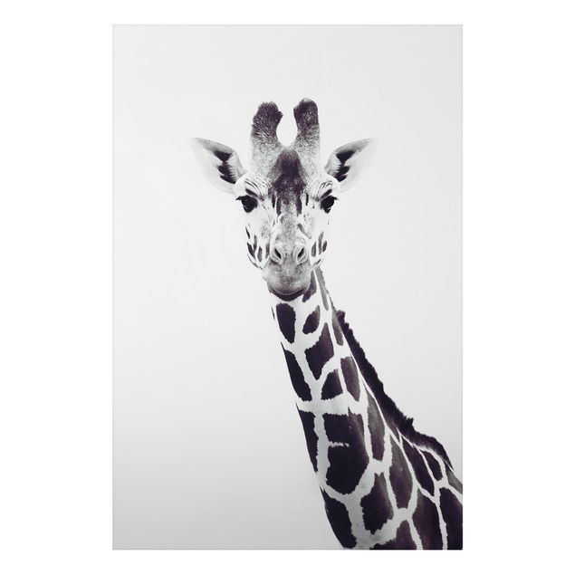 Quadri moderni   Ritratto di giraffa in bianco e nero