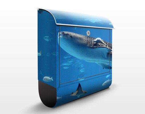 Cassette della posta con animali Pesce nel mare