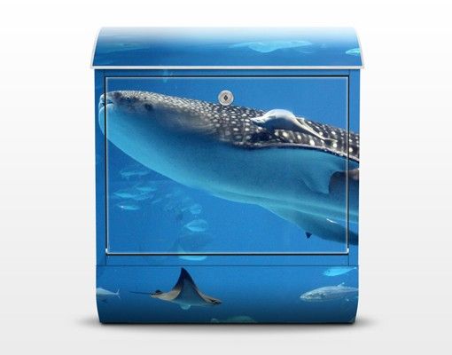 Cassette della posta blu Pesce nel mare