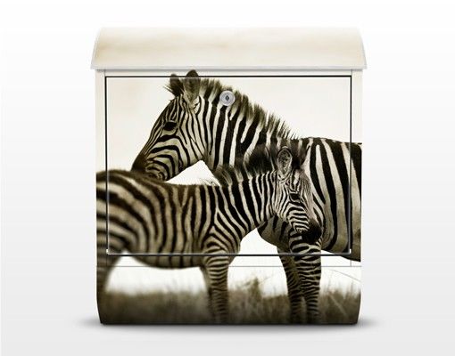 Cassette della posta con animali Coppia di zebre