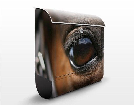 Cassette postali animali Occhio di cavallo