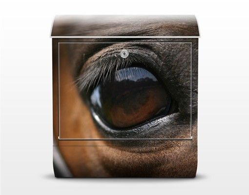 Cassetta postale marrone Occhio di cavallo