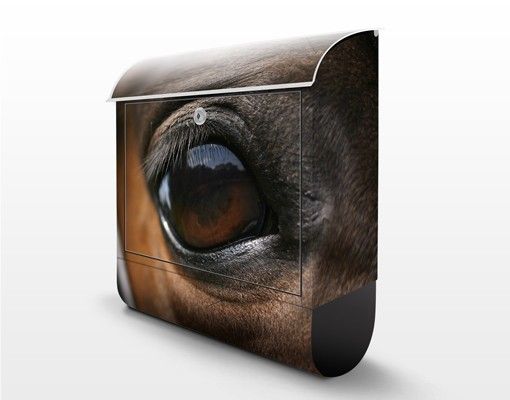 Accessori casa Occhio di cavallo