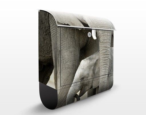 Cassette della posta con animali Elefante e amore