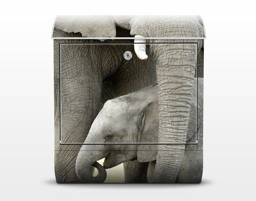 Cassette della posta grigie Elefante e amore