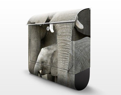 Accessori decorazione casa Elefante e amore