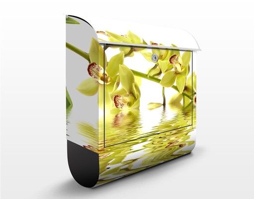 Cassette della posta con fiori Eleganti acque di orchidea