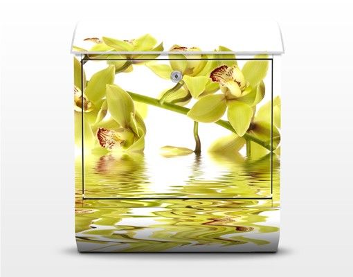 Cassetta della posta bianca Eleganti acque di orchidea