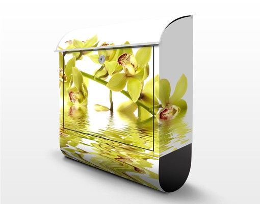 Cassette della posta gialle Eleganti acque di orchidea