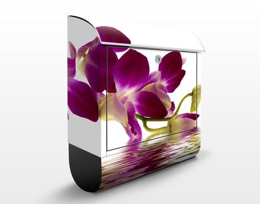 Cassette della posta con fiori Acque di orchidee rosa